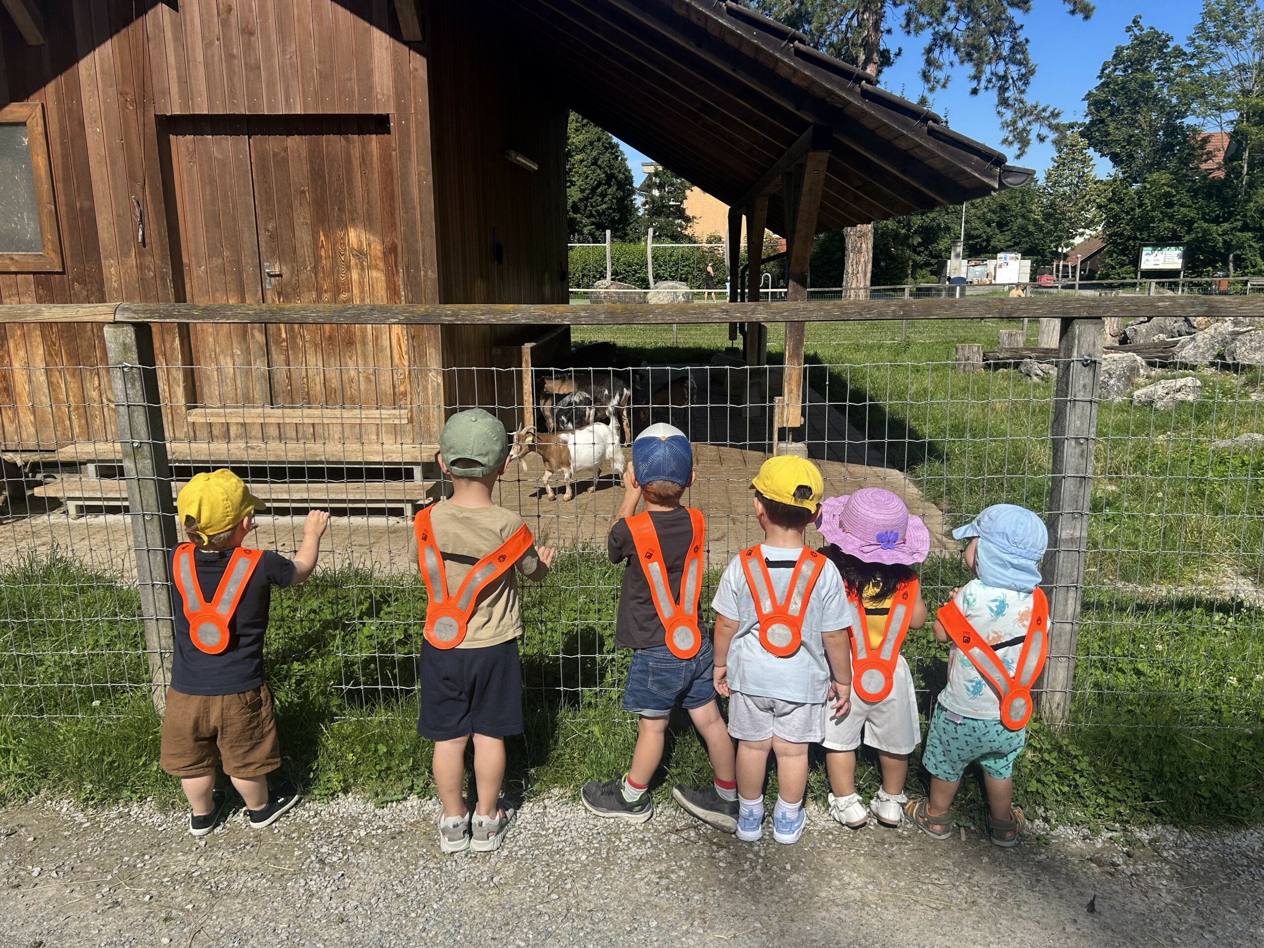 Tierbegegnung beim Ausflug