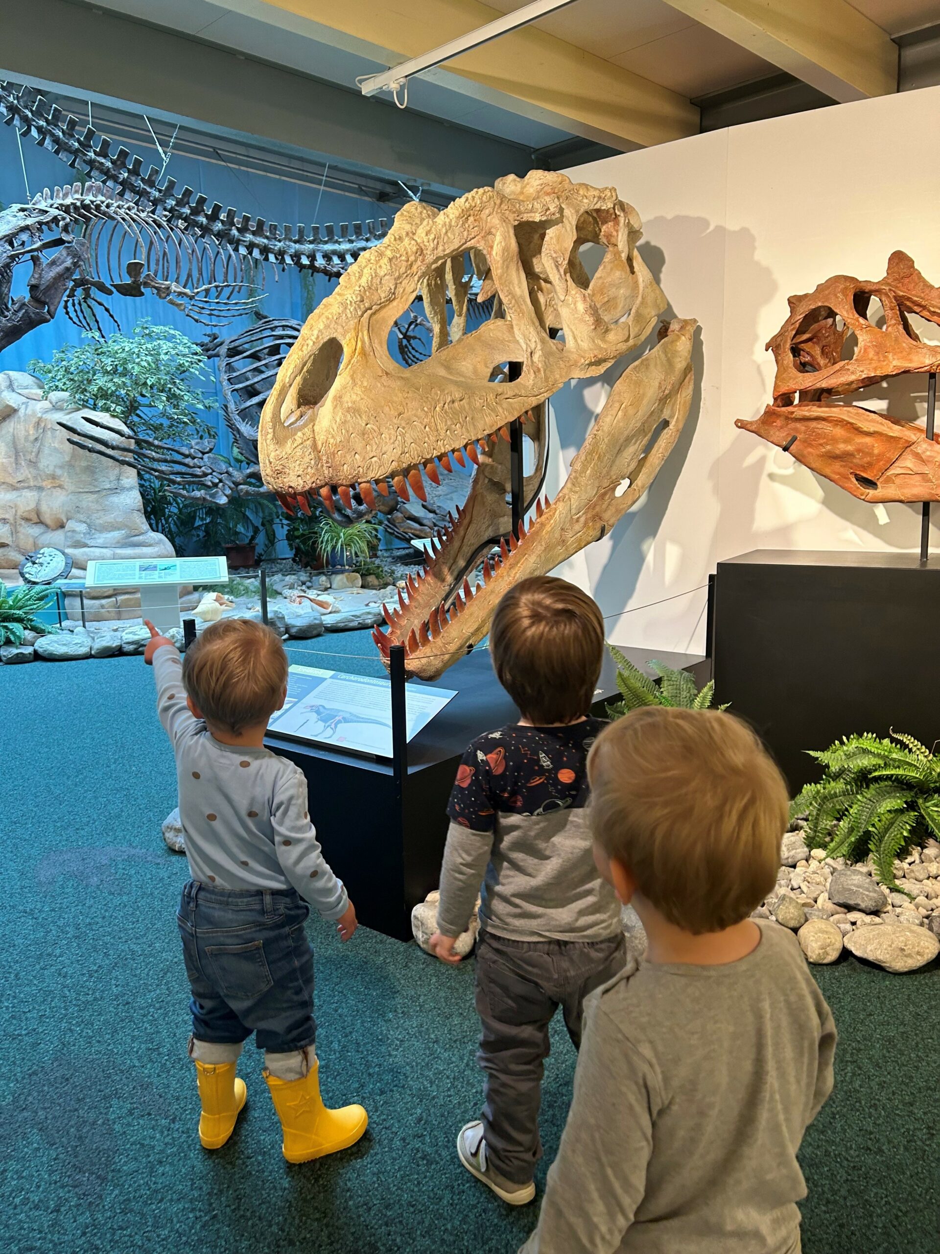 Besuch im Dinosaurier-Museum